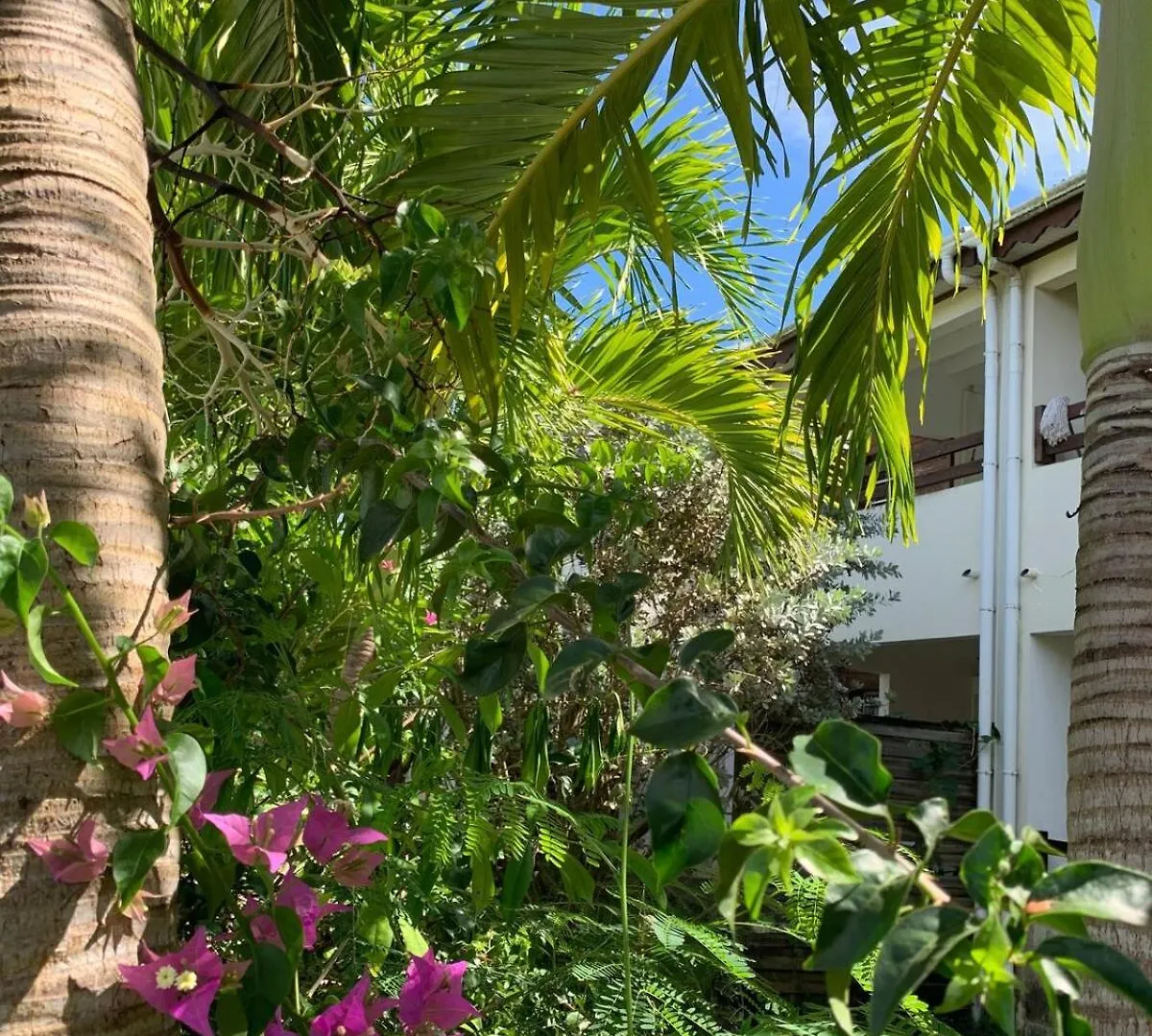 Appartement Cosy Proche Mer Le Gosier